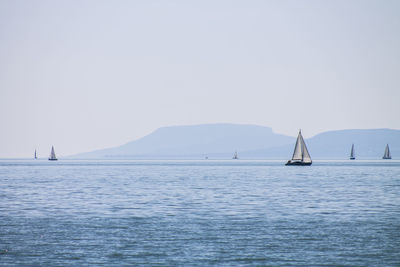 Sailboats in sea against clear sky