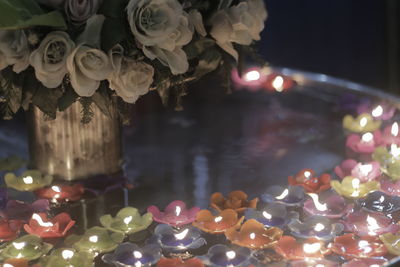 Close-up of illuminated flowering plants in water at night