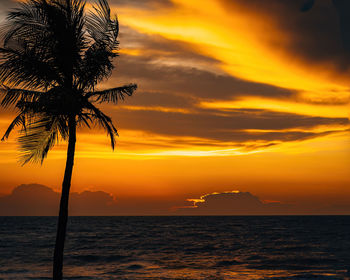 Silhouette of coconut trees by the beach during golden sunset.