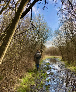 Rear view of man walking in forest