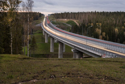 Railroad tracks in forest