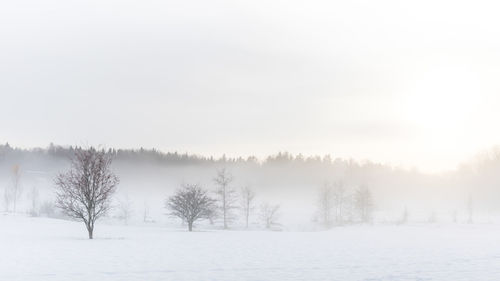 Trees on snow covered landscape against sky