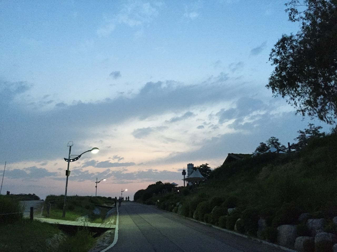 ROAD BY TREES AGAINST SKY IN CITY