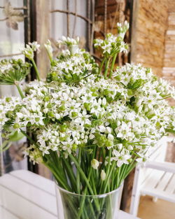 Close-up of white flowering plants