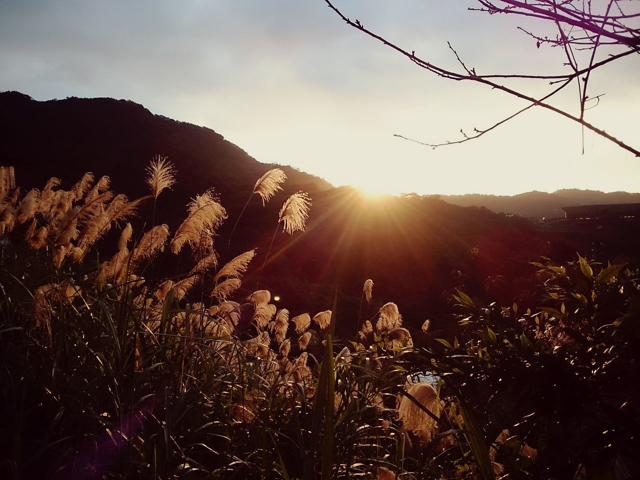 sun, sunbeam, sunlight, lens flare, beauty in nature, nature, mountain, sky, growth, tranquility, tranquil scene, scenics, tree, sunset, plant, sunny, landscape, bright, silhouette, outdoors