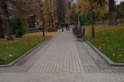 Footpath amidst trees in park