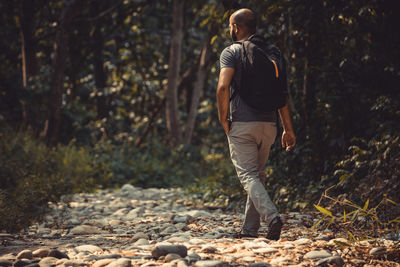 Rear view of hiker walking in forest