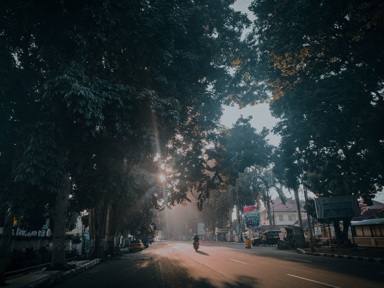 STREET AMIDST TREES AGAINST SKY AT NIGHT