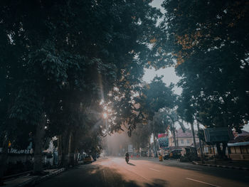 Street amidst trees against sky in city at night