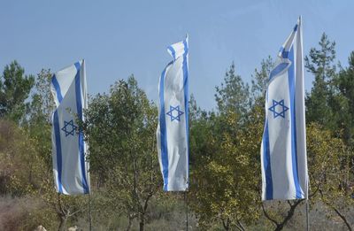 Israel flag