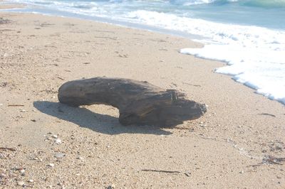 Scenic view of beach