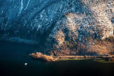 Reflection of trees in lake