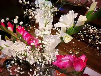 High angle view of pink flowering plant