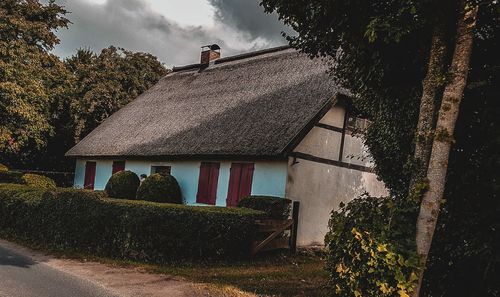 Houses and trees by road against sky