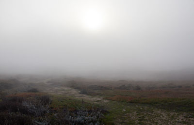 Scenic view of landscape against sky during foggy weather