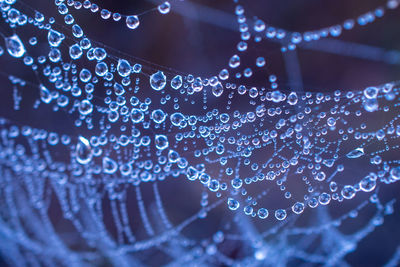 Full frame shot of spider web