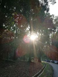 View of trees against sky