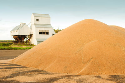 Grain storage silos. harvest concept. hill of grain, wheat, rye, barley, corn, rape, etc. granary 