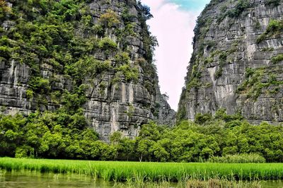 View of trees and buildings against sky