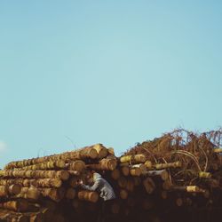 Woman photographing with smart phone while standing by logs of wood against clear sky