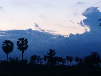 Silhouette trees against sky