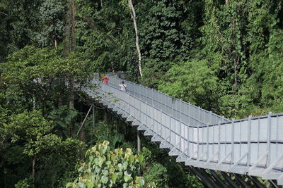 High angle view of bridge amidst trees in forest