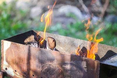 Close-up of fire on log