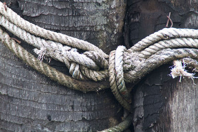 Close-up of rope tied on wooden wall