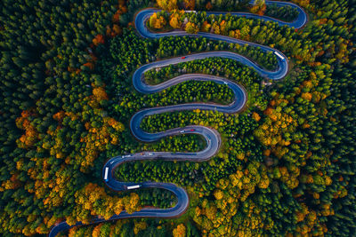 Aerial view of winding road amidst trees in forest