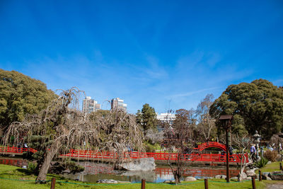 Plants and trees by building against blue sky