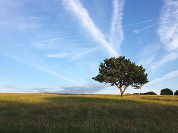 Scenic view of landscape against cloudy sky