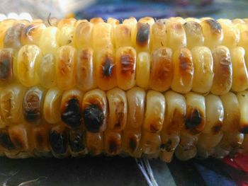 Close-up of caterpillar on table