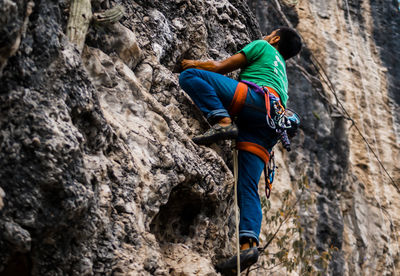 Rear view of person standing on rock