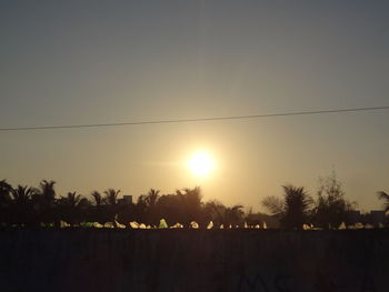 Silhouette trees against clear sky during sunset