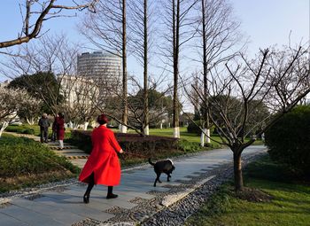 People walking by bare trees against sky