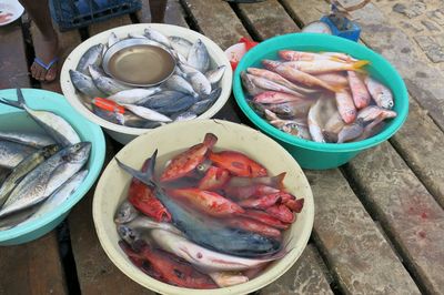 High angle view of fish in container