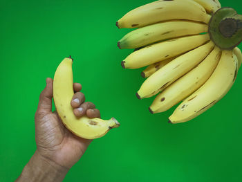 Cropped image of hand holding fruit against blue background