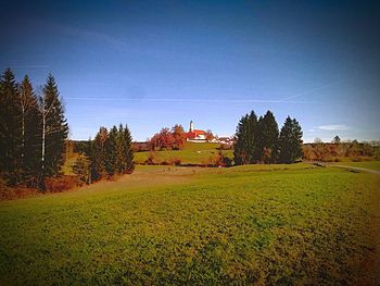 Trees on grassy field against blue sky