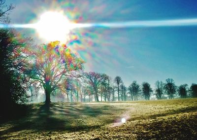 View of trees on landscape against sky