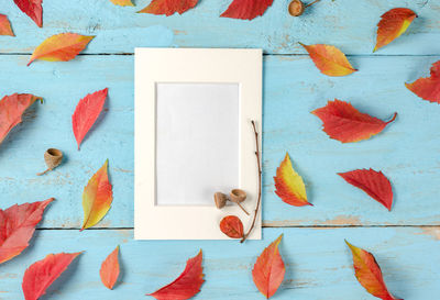 High angle view of maple leaves on table