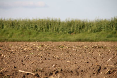 Scenic view of landscape