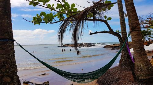 Scenic view of tree on beach against sky