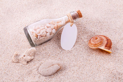 Close-up of shells in bottle on sand at beach