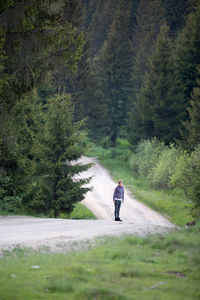 Rear view of man walking on road