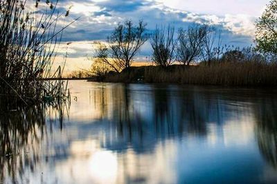 Reflection of trees in lake against sky