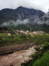 Scenic view of trees and buildings against sky