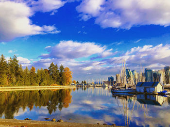 Sailboats in marina