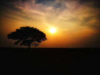 Silhouette trees on field against sky during sunset