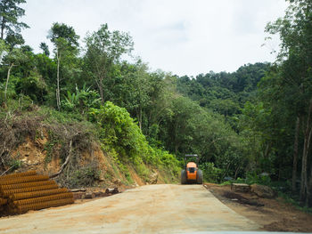 Road amidst trees against sky