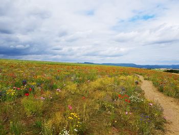 Scenic view of field against cloudy sky
